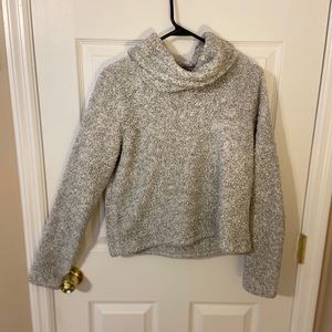 Aerie Sherpa crop top turtle nick in medium